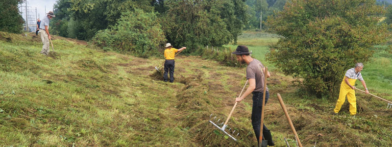 Gemeinsam beim Heuen